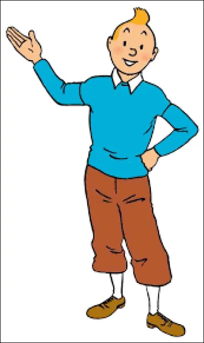 Et on clôt ce quiz par une petite question subsidiaire : combien d'albums relatent les aventures de Tintin ?
