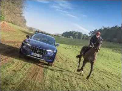 Le cheval est plus rapide qu'une voiture de course :