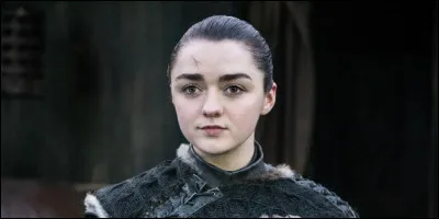Avec qui Arya fait-elle sa première fois ?