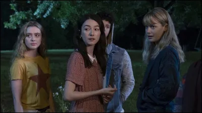 De quelle série provient cette image ?