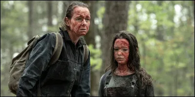 De quelle série provient cette image ?