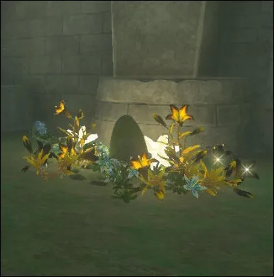 Où se situe la tombe de Sonia ?