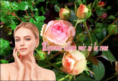 Pierre de Ronsard est l'auteur du poème "L'Ode à Cassandre".