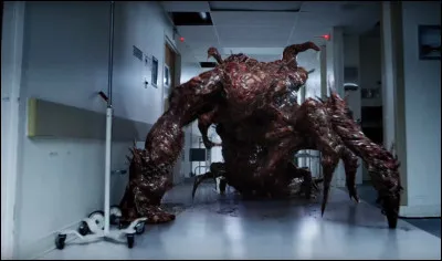 Quelle est ta plus grande peur ?