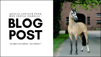 Quelle est la robe de ce cheval ?