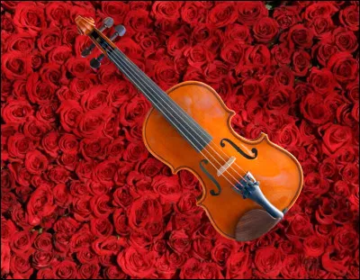 Question très simple ��
Comment sappelle cet instrument ?