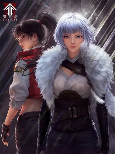 Parmi les trois mangas ci-dessous, lequel est un anime chinois !