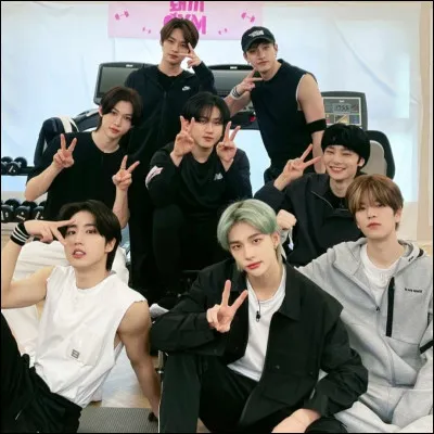 Qui est le leader des Stray Kids ?