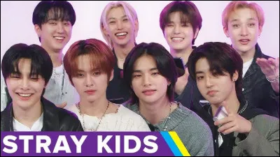 De quelle agence viennent les Stray Kids ?