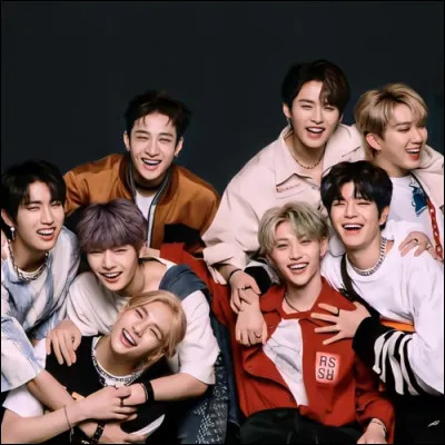 Qui &eacute;tait le neuvi&egrave;me membre de Stray Kids ?