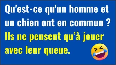 Quel type d'humour est sur l'image ?