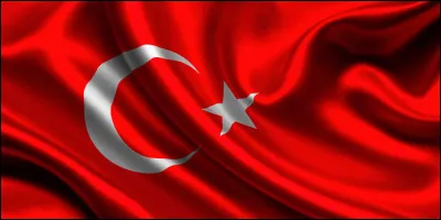 Complétez cette expression : "... de turc".