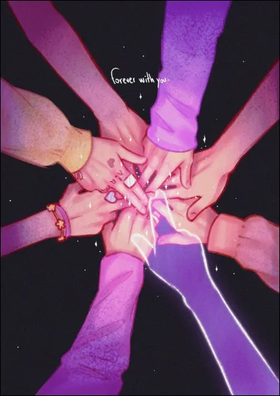 Comment se nomme leur fandom ?