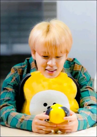 Quel est le BT21 de Jimin ?