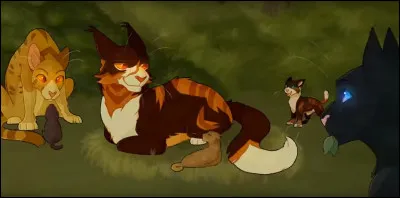 À combien de chatons donne-t-elle naissance ?