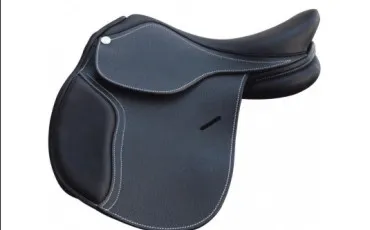 Quiz Equitation