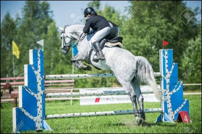 Quest cette discipline ?