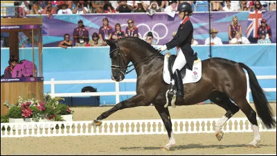 Quest cette discipline ?