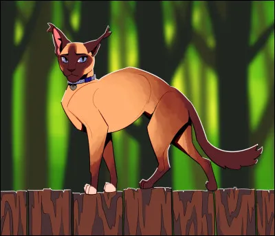 Serais-tu tenté par un jour ou deux en solitaire ?