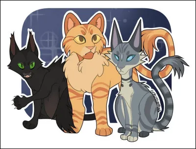 Combien as-tu de meilleurs amis ?