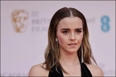 Quel rôle a-t-elle joué dans ''Harry Potter'' ?