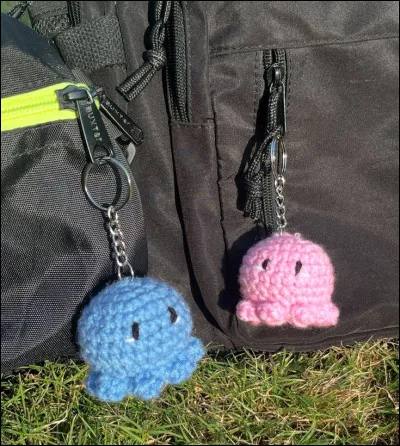 Sil devait toffrir un cadeau symbolique, ce serait