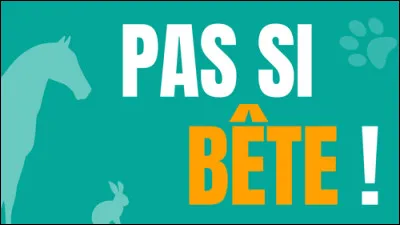 Mais si vraiment je me rends compte que ce genre de quiz n'a aucun succès, de par l'avis général..., je demeure modeste, mon quiz n'a pas plu...