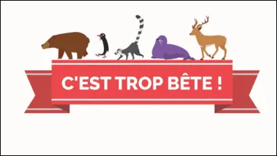 Quel &eacute;tait le titre de l'&eacute;mission t&eacute;l&eacute;vis&eacute;e de Fr&eacute;d&eacute;ric Rossif ?