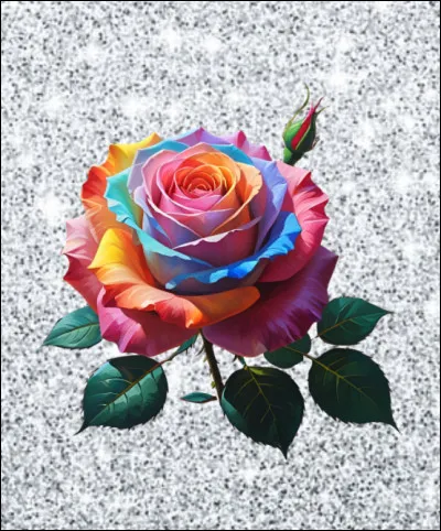 Quelle est la couleur de rose la plus rare ?