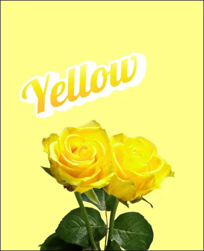Que signifie la rose jaune ?