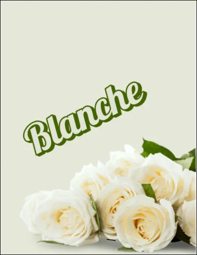 Que signifie la rose blanche ?