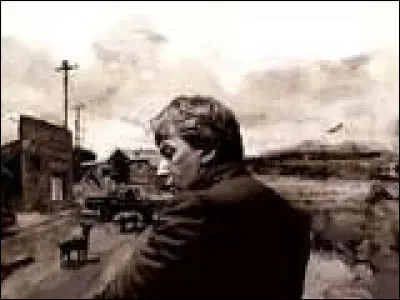 Quel chanteur a sorti l'album "Bleu pétrole" en 2008 ?