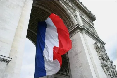 Dans quel domaine ce pavillon est-il officiel depuis 1794 ?