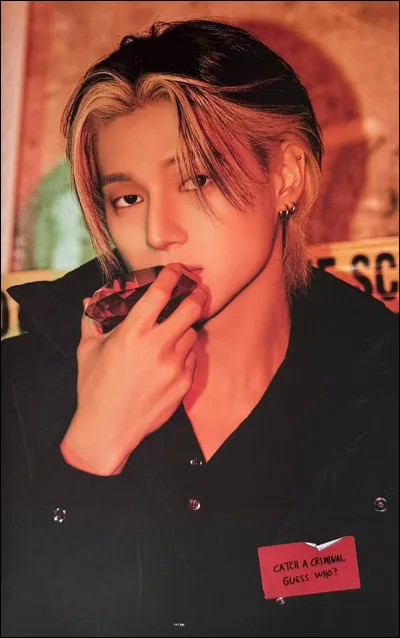 Quel est le concept principal des albums "Zero : Fever" ?