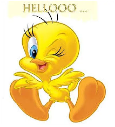 Comment se nomme le chat qui veut attraper Titi, le petit canari jaune ?