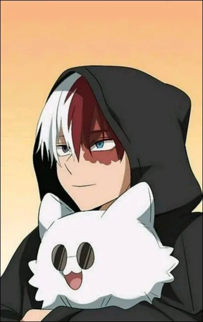 Quelle est la taille de Shoto Todoroki ?