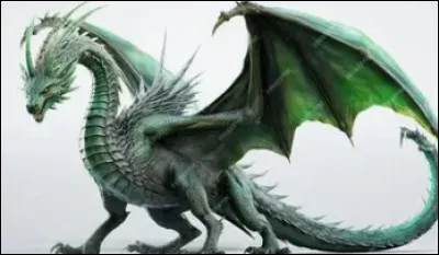 Un dragon bloque ton chemin. Que fais-tu ?