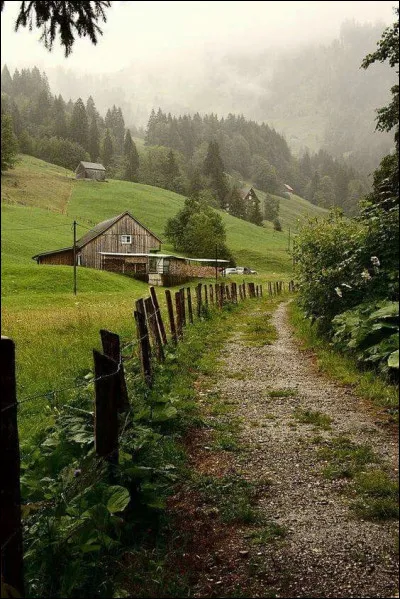 Tu préfères vivre dans...