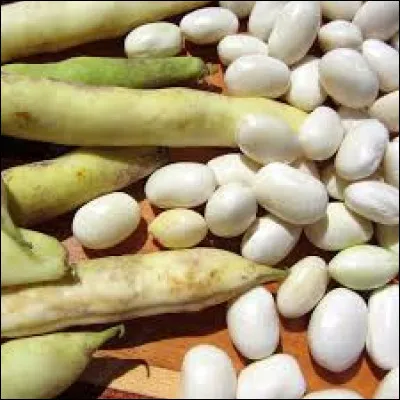 Comment se nomme le haricot à écosser cultivé dans les Côtes-d'Armor ?