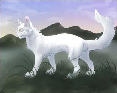 Sa sur a un chaton avec Griffe d'Épine, comment s'appelle-t-il ?