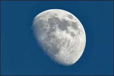 Cliquez sur la bonne réponse :