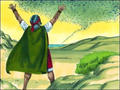 Selon la Bible, quel insecte symbolise la huitième plaie d'Égypte, avant les ténèbres mais après la grêle ?