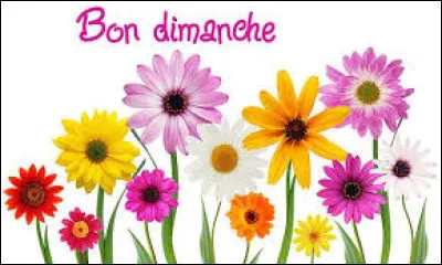 Laquelle de ces expressions se rapproche le plus du verbe "s'endimancher" ?