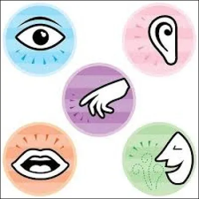 Parmi ces sens, lequel n'est pas un sens humain reconnu ?