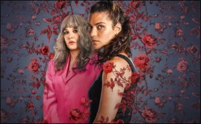 Quelle série disponible sur Netflix est représentée par cette affiche ?
Petit résumé = Alba, une mère célibataire, se retrouve suspecte du meurtre de son nouveau patron, dans un domaine horticole.