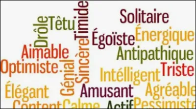 Quel est ton principal trait de caractère ?