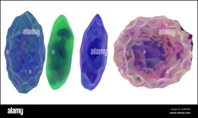 Dernière question. Ton Pokémon peut-il évoluer avec une pierre d'évolution ?