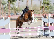 Quiz Galop 4