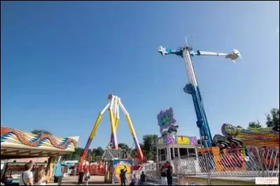 Peut se trouver dans une corbeille.