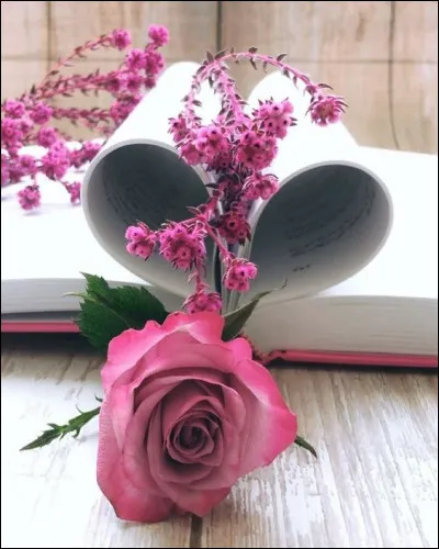 À quelle écrivaine doit-on les mots "Le bonheur dans le mariage est uniquement une question de chance", issus de son roman "Orgueil et Préjugés" ?